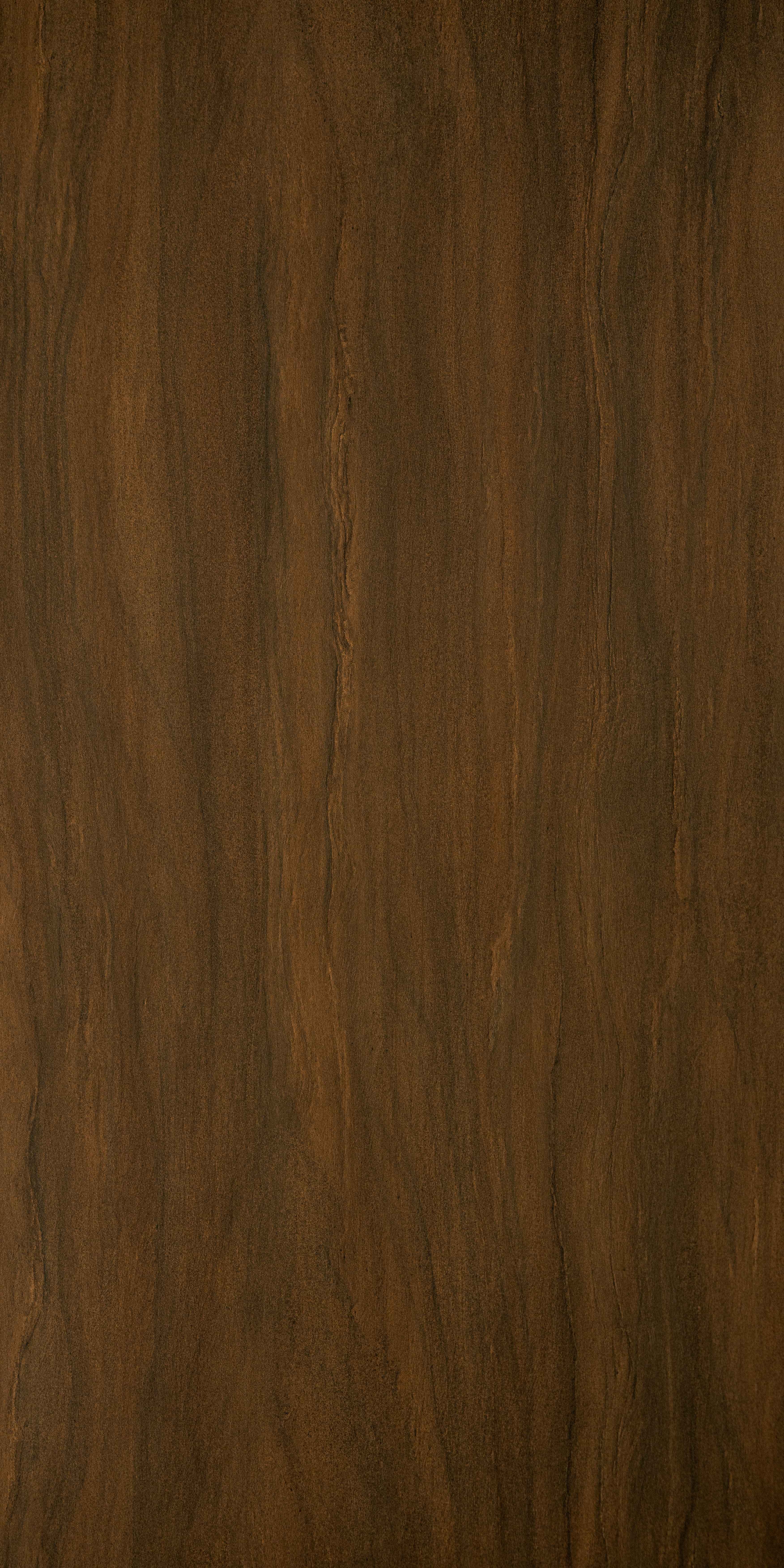 SDL 40403 - VEIN