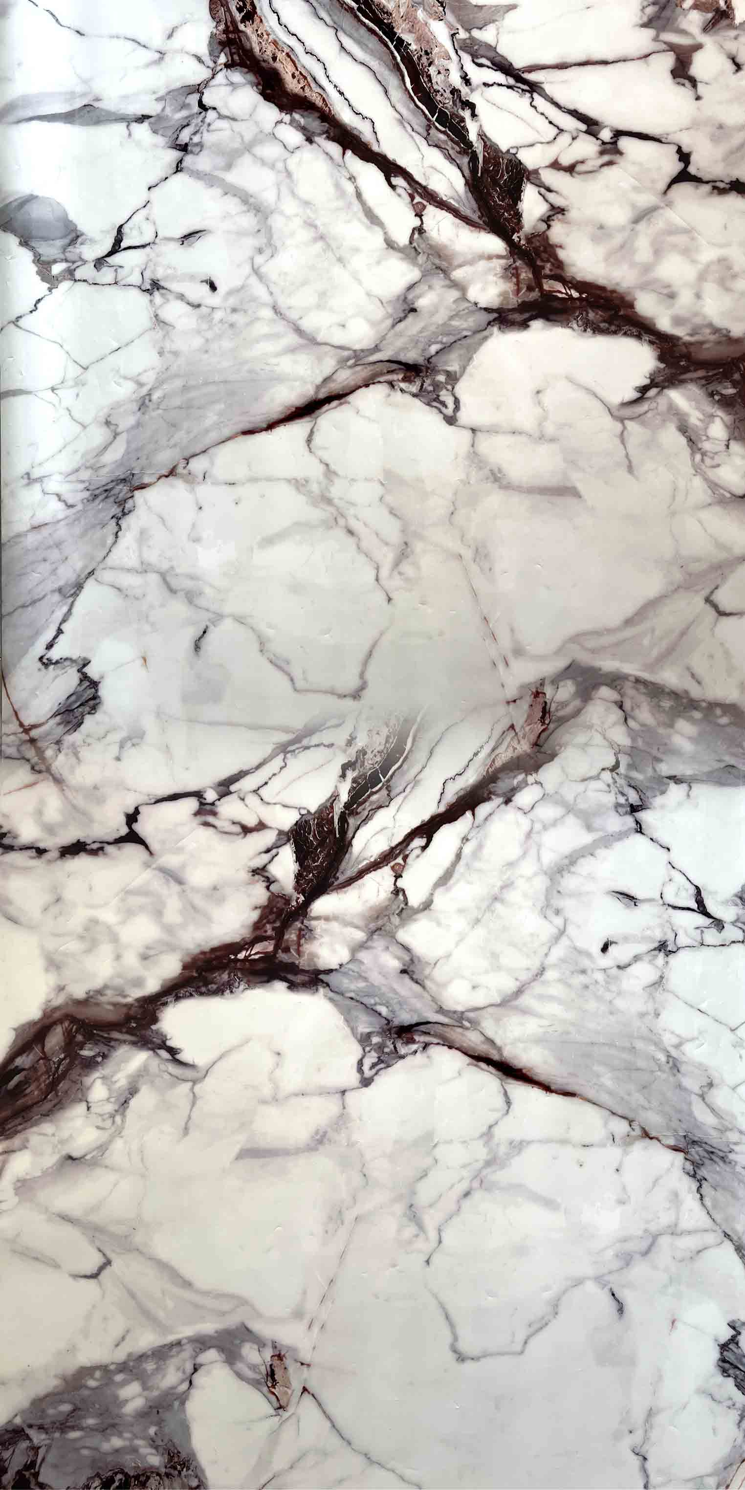 SDA 462 - Gloss