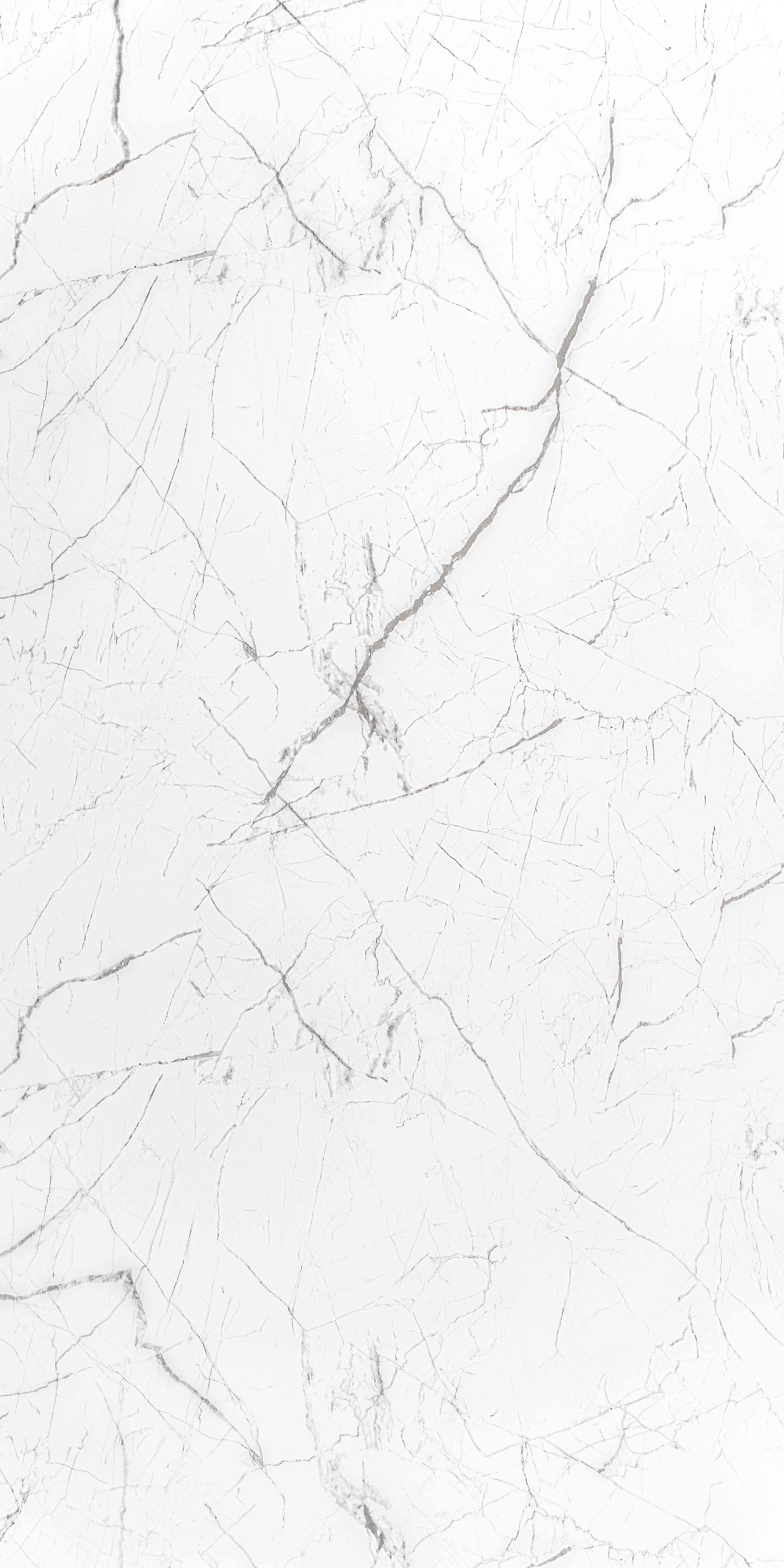 SDA 463 - Gloss