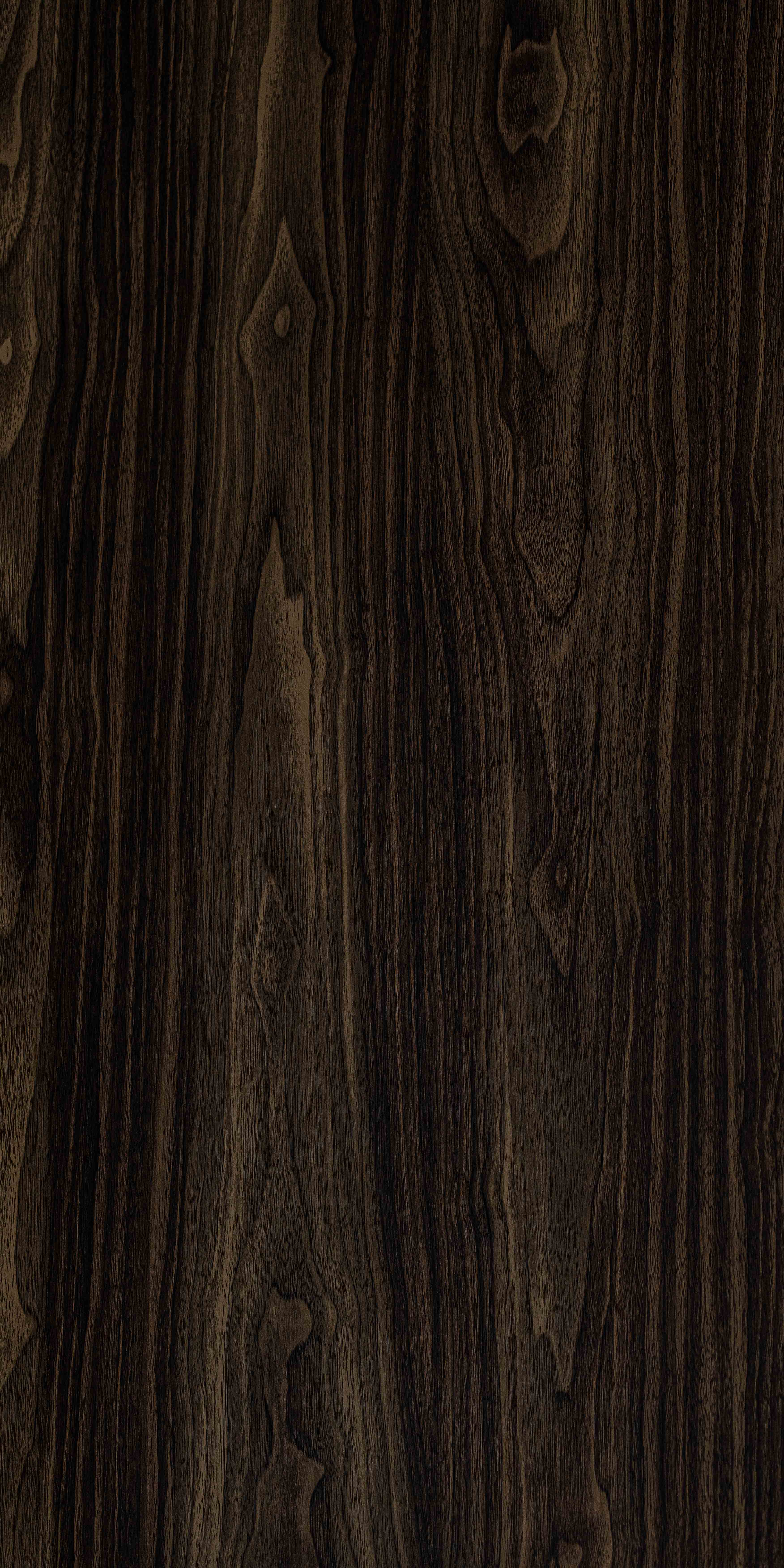SDA 601 - Gloss